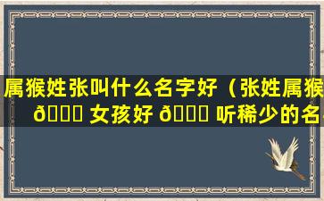 属猴姓张叫什么名字好（张姓属猴 🐒 女孩好 🐒 听稀少的名字）